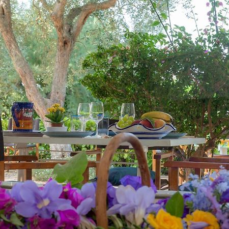 Casa Vacanze Il Bacio Piano di Sorrento Exterior foto